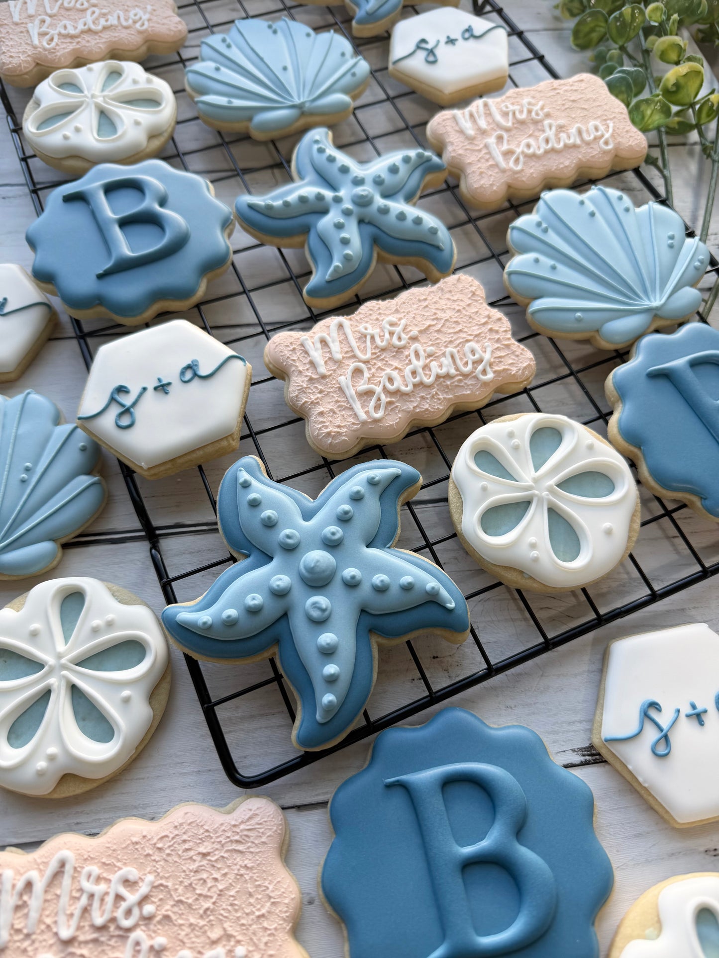 Standard Sugar Cookies