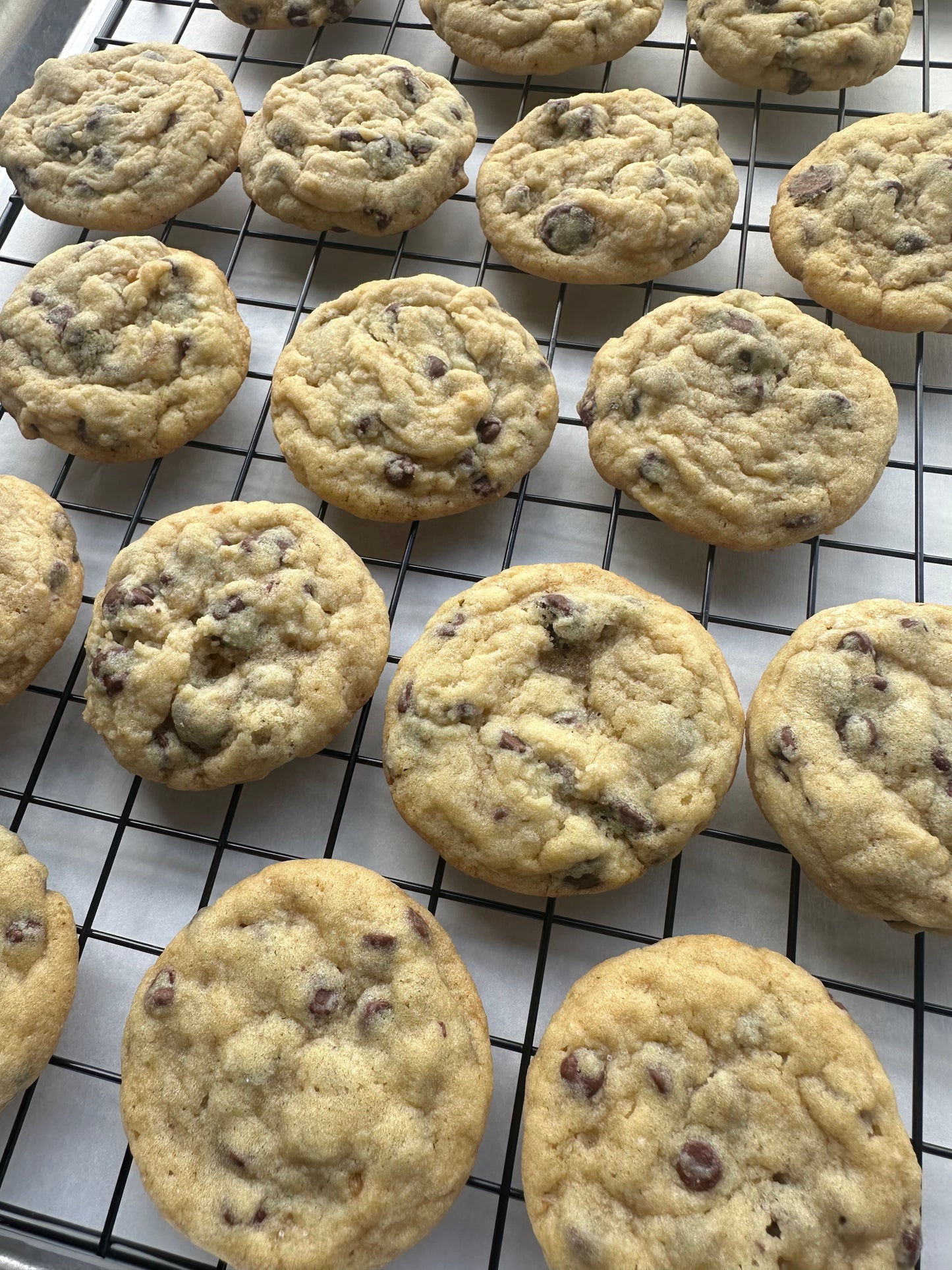Chocolate Chip Cookies